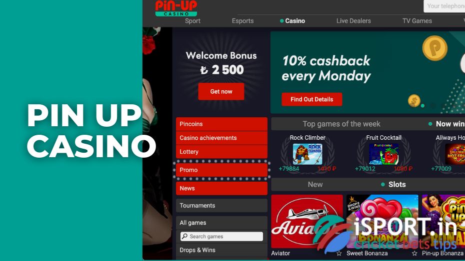 casino pin up online game stots casino pin up online game stots