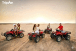 Quad Bike Tour of the Desert and Red Sea