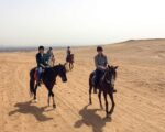 Desert and Sea Horse Riding - Image 4