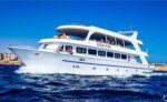 Elite VIP snorkeling cruise with BBQ buffet lunch