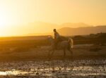 Desert and Sea Horse Riding - Image 3