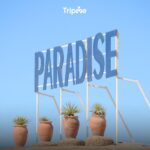 Paradise Island Yacht Cruise, Lunch and Snorkeling - Image 4