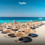 Paradise Island Yacht Cruise, Lunch and Snorkeling - Image 5