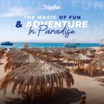 Paradise Island Yacht Cruise, Lunch and Snorkeling