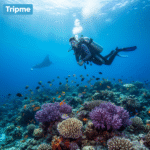Full-Day Scuba Diving Tour