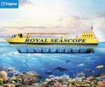 Royal Seascope Submarine Cruise